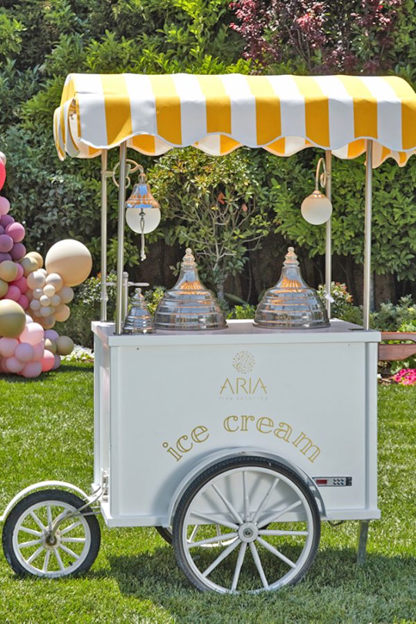 Ice cream on wheels