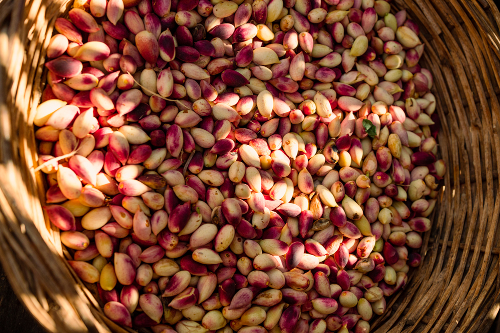 Φιστίκι. Η διάσημη γεύση παγκοσμίως