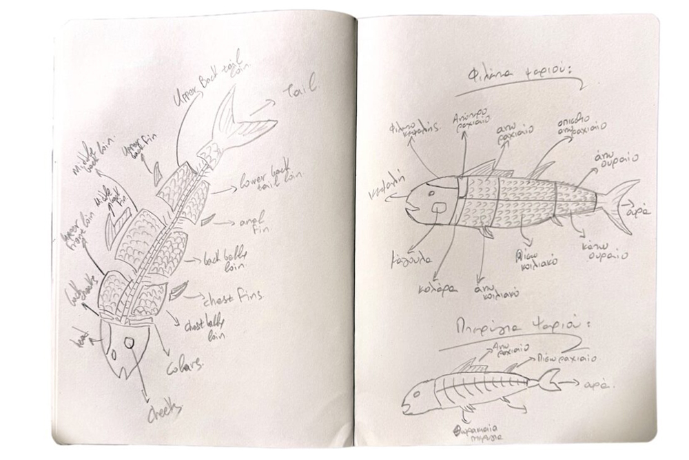 Εγχειρίδιο ορθής ωρίμανσης και χειρισμού ψαριών