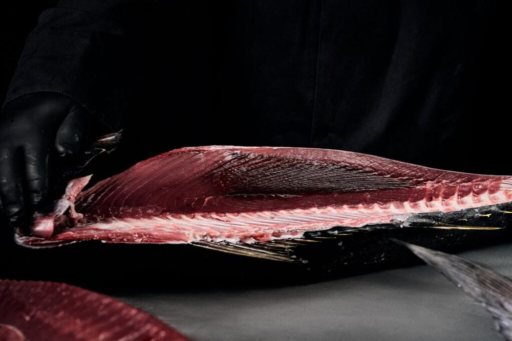 Εγχειρίδιο ορθής ωρίμανσης και χειρισμού ψαριών