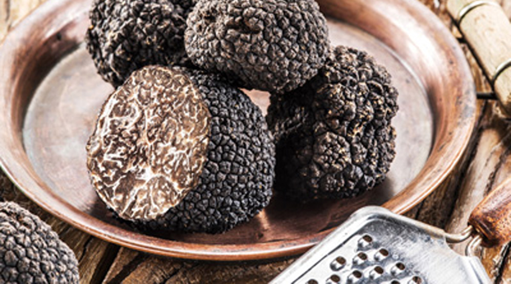 Τρούφα. Το «μαύρο διαμάντι» της γεύσης