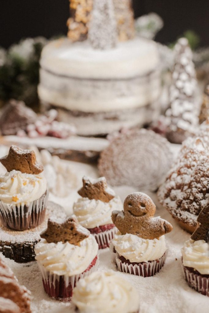 Santa’s Village. To πιο νόστιμο χριστουγεννιάτικο χωριό! Santa’s Village. To πιο νόστιμο χριστουγεννιάτικο χωριό!