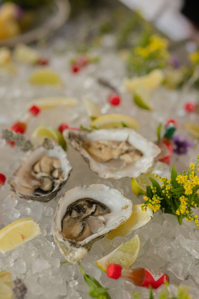 Από τα Gillardeau στα Rockefeller: Ένα ταξίδι στον κόσμο των στρειδιών