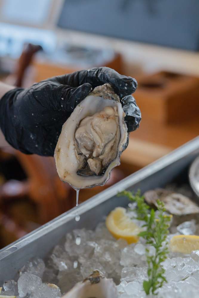 Luxury Yacht Parties - 10 years