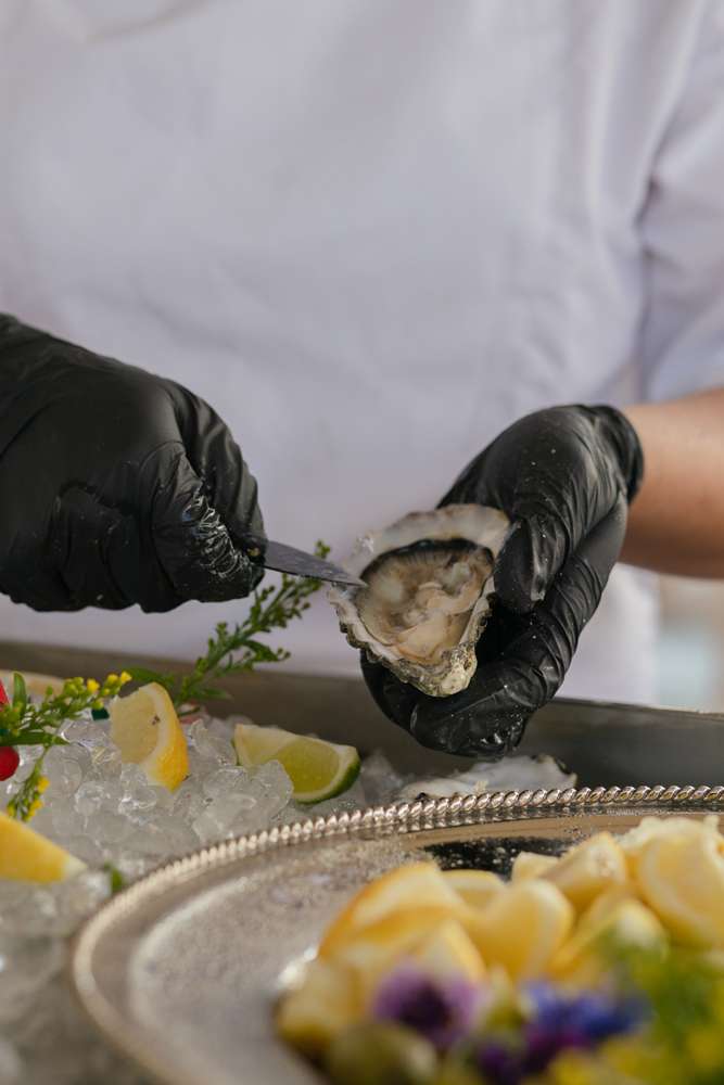 Από τα Gillardeau στα Rockefeller: Ένα ταξίδι στον κόσμο των στρειδιών