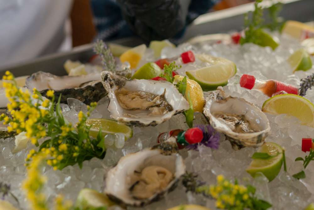 Luxury Yacht Parties - 10 years