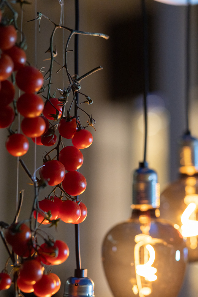 33η Τακτική Γενική Συνέλευση ΣΕΤΕ