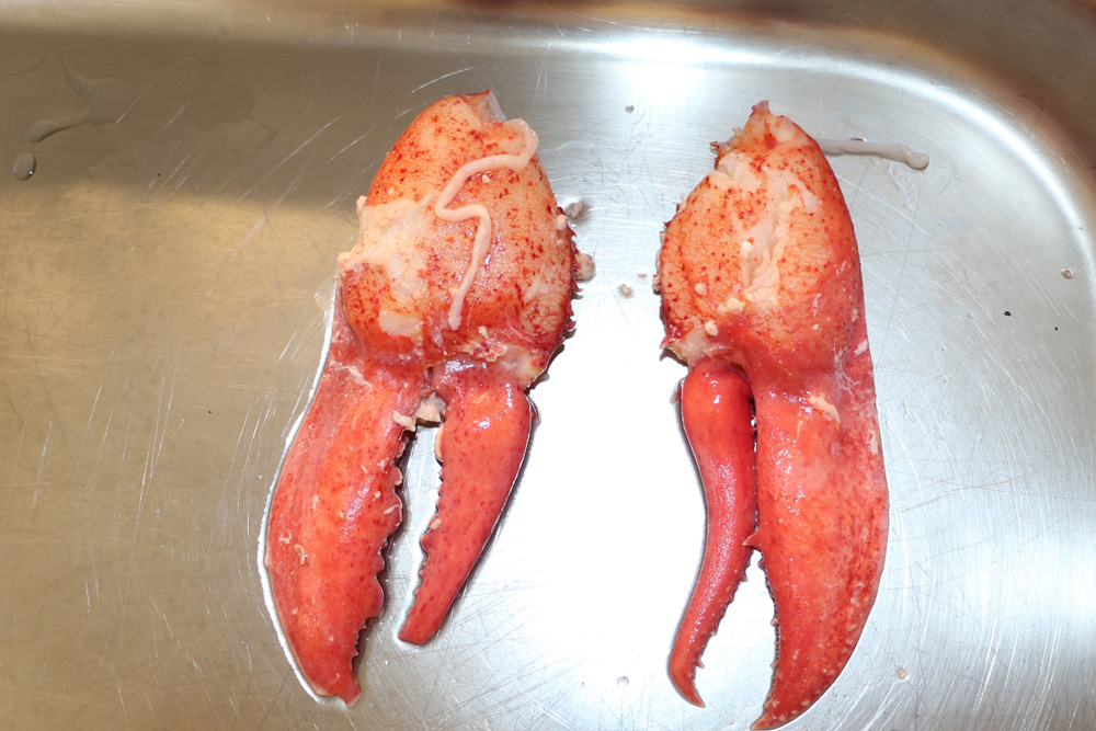 Ο Παναγιώτης Γιαννακός μαγειρεύει την περίφημη Αστακομακαρονάδα του, στην Τήνο, το νησί της καρδιάς του