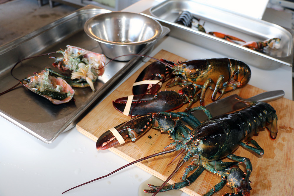 Ο Παναγιώτης Γιαννακός μαγειρεύει την περίφημη Αστακομακαρονάδα του, στην Τήνο, το νησί της καρδιάς του