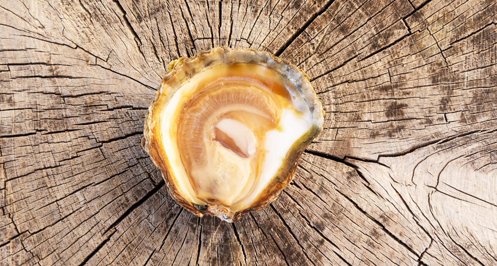 Από τα Gillardeau στα Rockefeller: Ένα ταξίδι στον κόσμο των στρειδιών