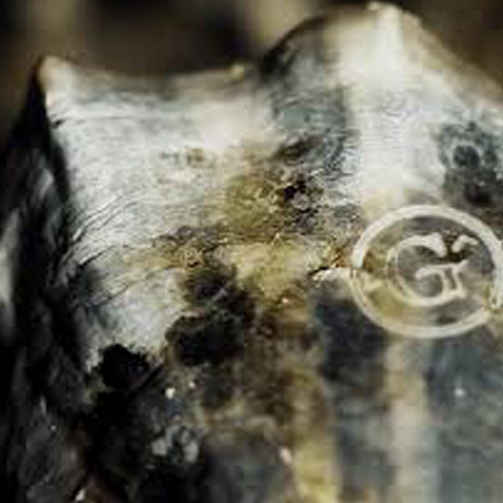 Από τα Gillardeau στα Rockefeller: Ένα ταξίδι στον κόσμο των στρειδιών