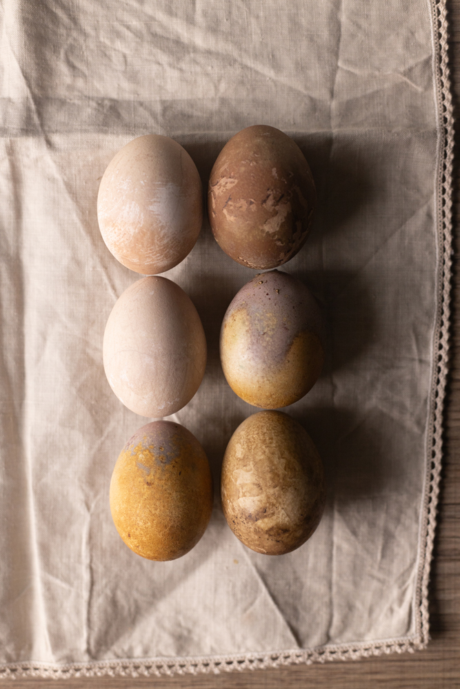 Kitchen Alchemy: Η "μαγεία" του να βάφεις αυγά με φυσικά υλικά